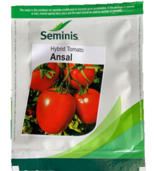 Ansal (Tomato)